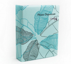 Органайзер Lesly для пластин Бирюзовый*