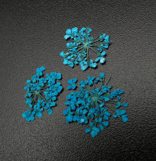 Сухоцветы ZOO "Любимые цветочки" арт.1678