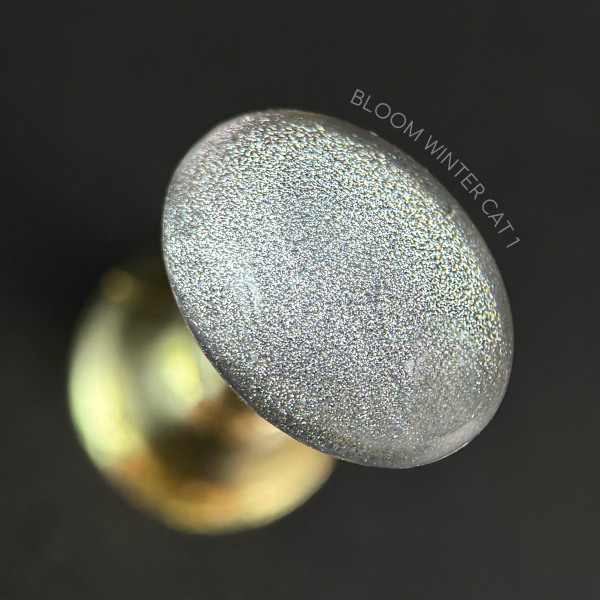 Гель-лак Bloom Winter cat 01, 8 мл - «Bloom»