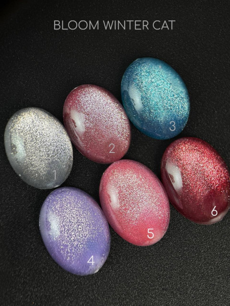 Гель-лак Bloom Winter cat 05, 8 мл - «Bloom»