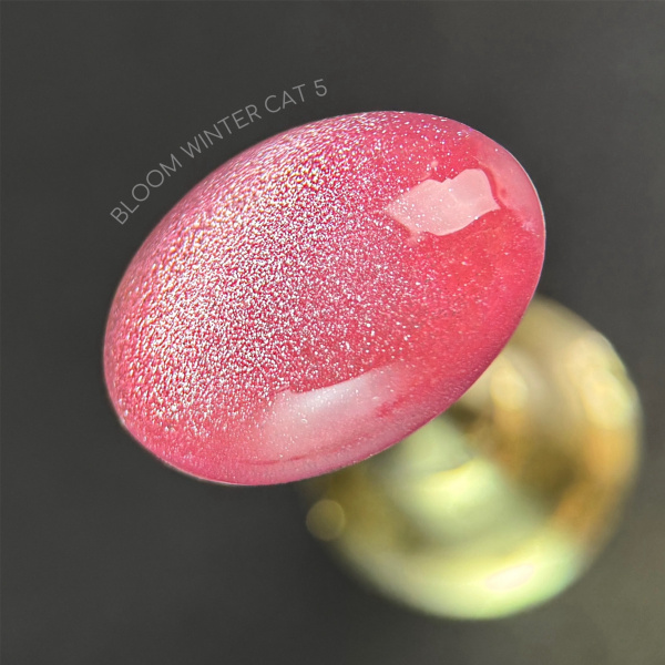 Гель-лак Bloom Winter cat 05, 8 мл - «Bloom»