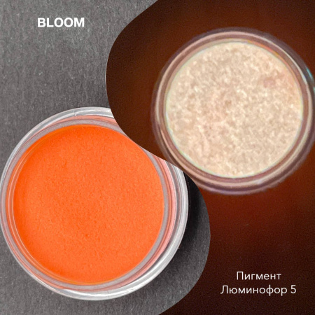 Пигмент Bloom ЛЮМИНОФОР №5