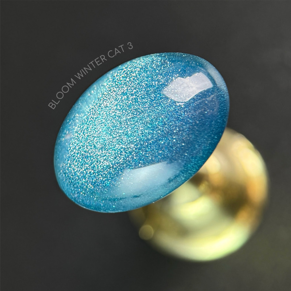 Гель-лак Bloom Winter cat 03, 8 мл - «Bloom»