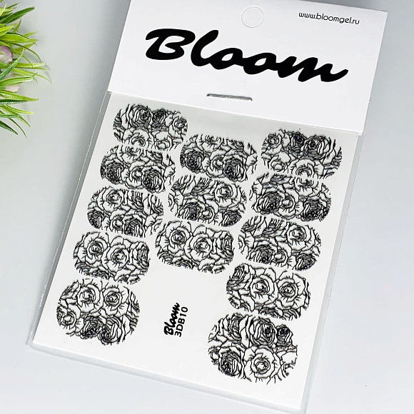 Слайдер Bloom 3D B 10