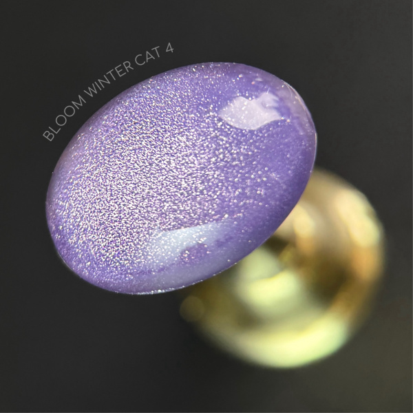 Гель-лак Bloom Winter cat 04, 8 мл - «Bloom»