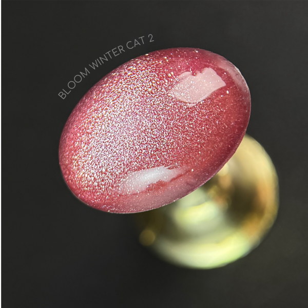 Гель-лак Bloom Winter cat 02, 8 мл - «Bloom»